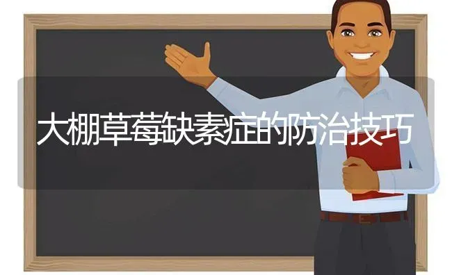 大棚草莓缺素症的防治技巧 | 瓜果种植