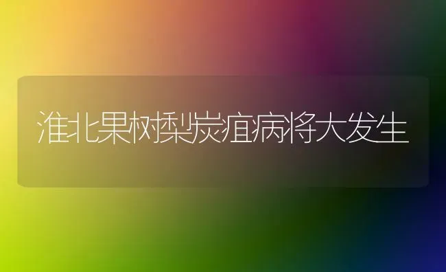 淮北果树梨炭疽病将大发生 | 瓜果种植