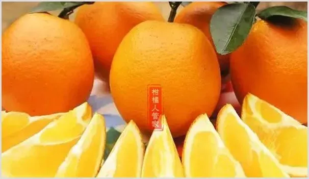纽荷尔脐橙种植前景怎样,分析得很透彻 | 农业技术