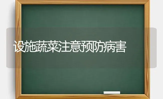 设施蔬菜注意预防病害 | 蔬菜种植