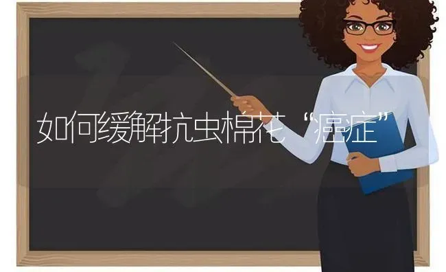 如何缓解抗虫棉花“癌症” | 粮油作物种植