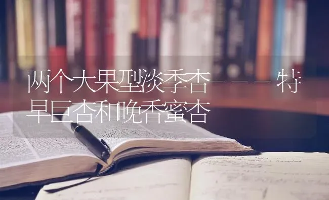 两个大果型淡季杏---特早巨杏和晚香蜜杏 | 瓜果种植