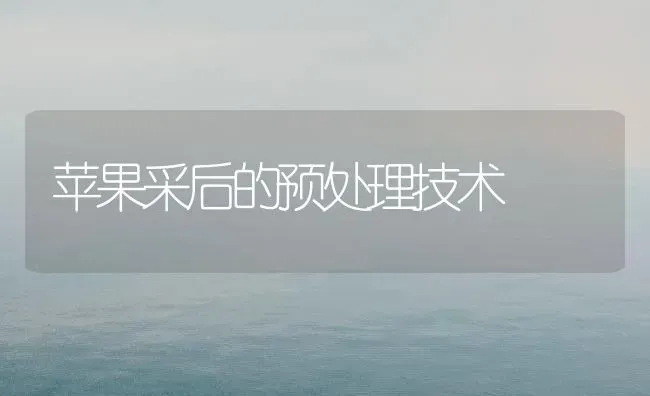 苹果采后的预处理技术 | 瓜果种植