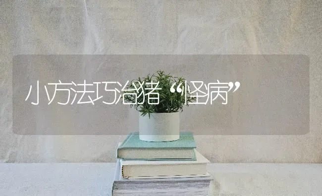 水果萝卜常见病虫害防治方法 | 瓜果种植