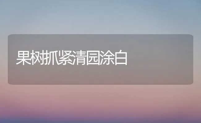 果树抓紧清园涂白 | 瓜果种植