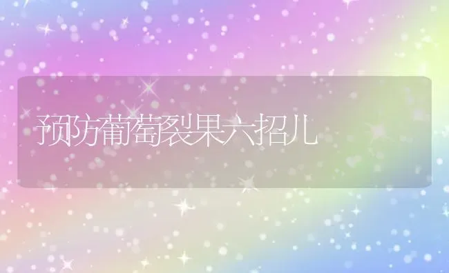 苹果醋的酿造技术 | 瓜果种植