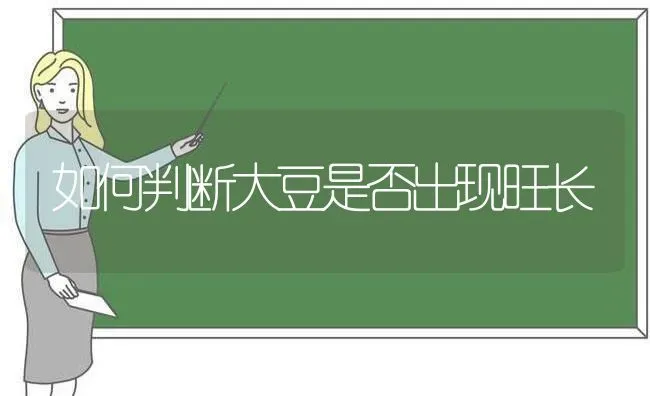 如何判断大豆是否出现旺长 | 粮油作物种植