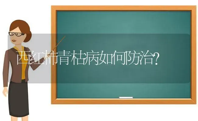 西红柿青枯病如何防治？ | 蔬菜种植