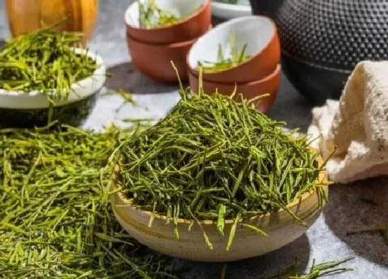 果实成熟|秋茶什么时候采摘