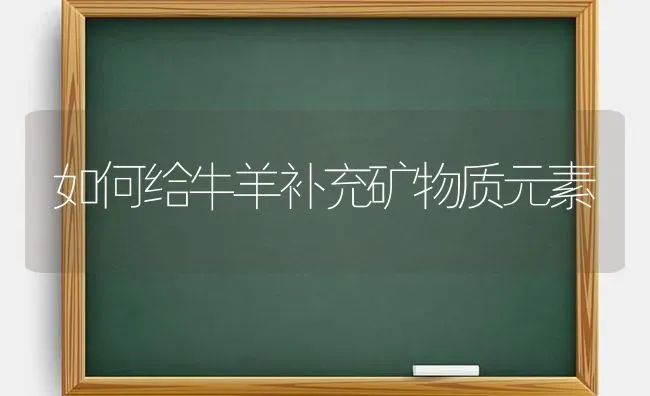 几种常见芽菜的栽培技术要点 | 蔬菜种植