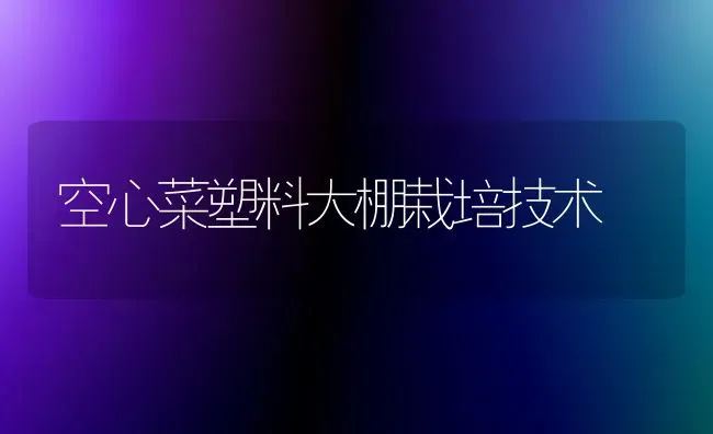 空心菜塑料大棚栽培技术 | 蔬菜种植