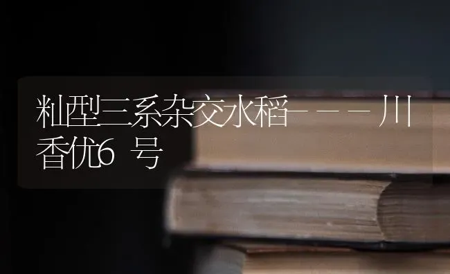 籼型三系杂交水稻---川香优6号 | 粮油作物种植