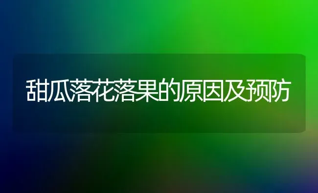 甜瓜落花落果的原因及预防 | 瓜果种植