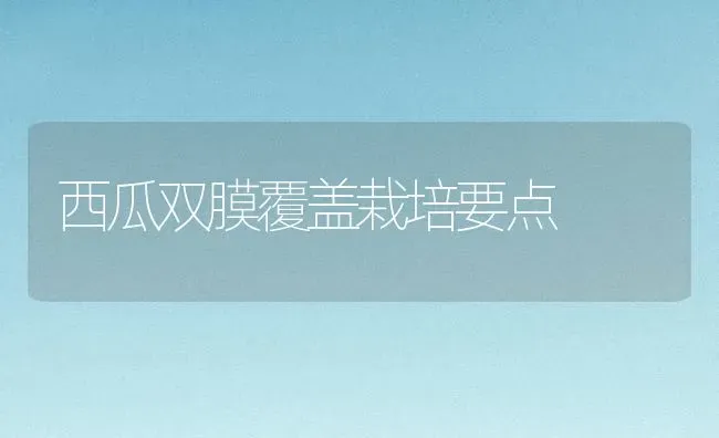西瓜双膜覆盖栽培要点 | 瓜果种植