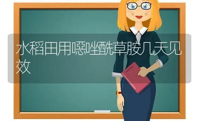 水稻田用噁唑酰草胺几天见效 | 粮油作物种植