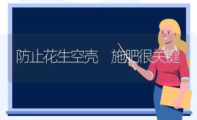 防止花生空壳 施肥很关键 | 种植肥料施肥