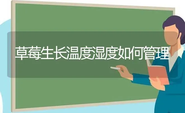 草莓生长温度湿度如何管理 | 瓜果种植