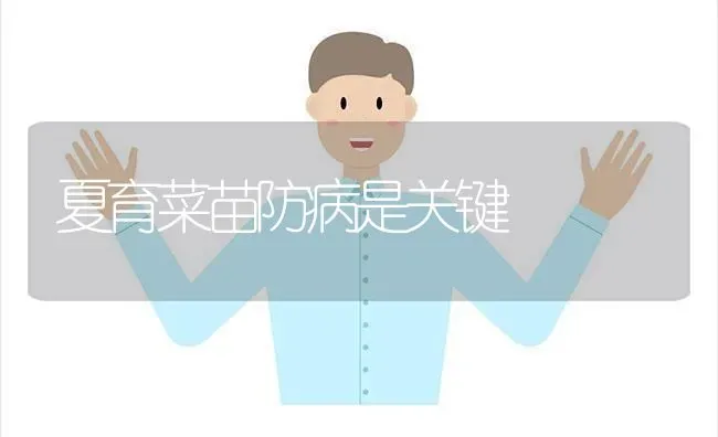 夏育菜苗防病是关键 | 蔬菜种植