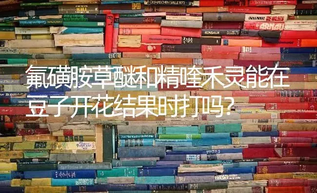 氟磺胺草醚和精喹禾灵能在豆子开花结果时打吗？ | 瓜果种植