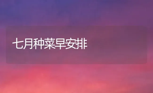 七月种菜早安排 | 蔬菜种植
