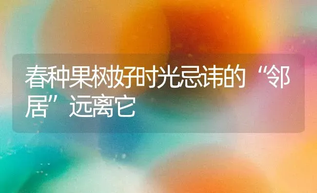 春种果树好时光忌讳的“邻居”远离它 | 瓜果种植