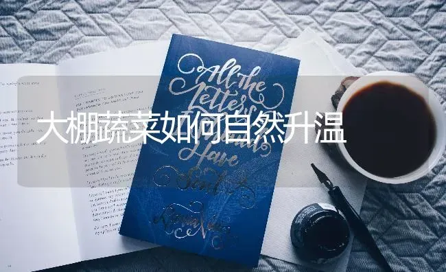 大棚蔬菜如何自然升温 | 蔬菜种植