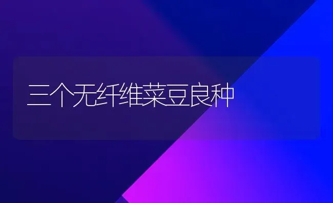 三个无纤维菜豆良种 | 蔬菜种植