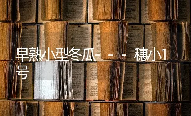 早熟小型冬瓜---穗小1号 | 蔬菜种植