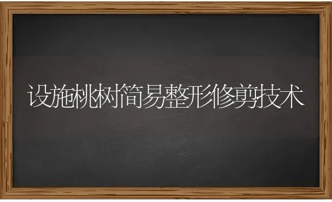 设施桃树简易整形修剪技术 | 瓜果种植