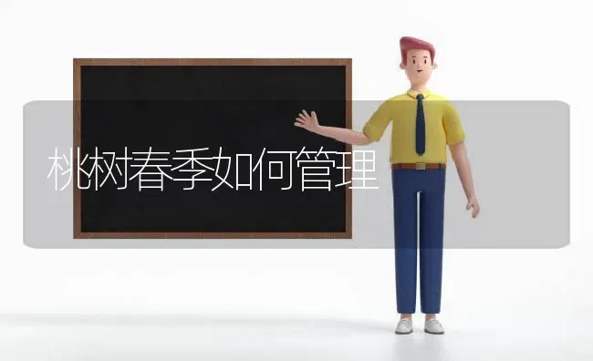 桃树春季如何管理 | 瓜果种植