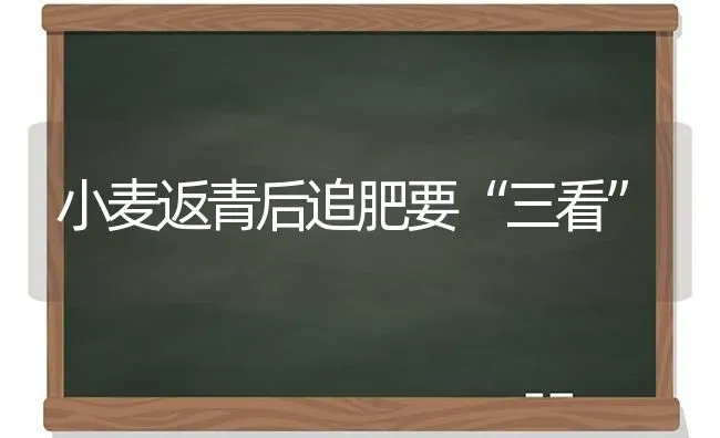 小麦返青后追肥要“三看” | 粮油作物种植