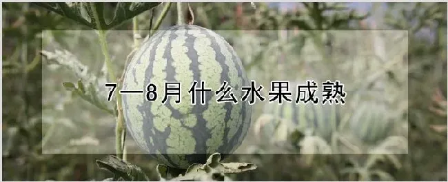 7一8月什么水果成熟 | 耕种资料