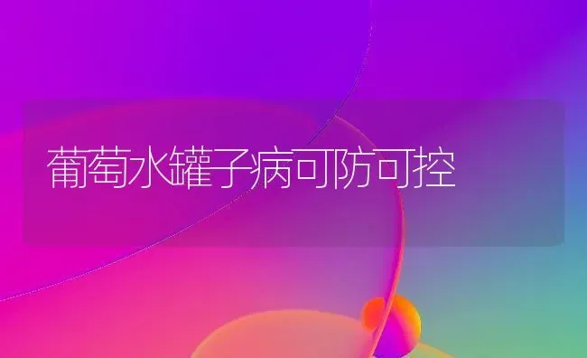 葡萄水罐子病可防可控 | 瓜果种植