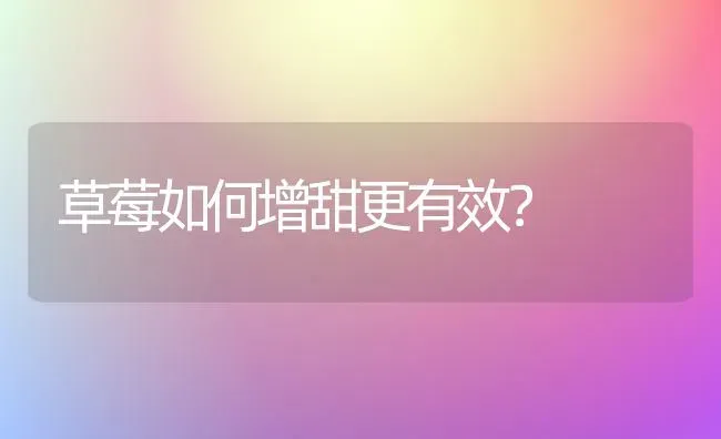 草莓如何增甜更有效？ | 瓜果种植