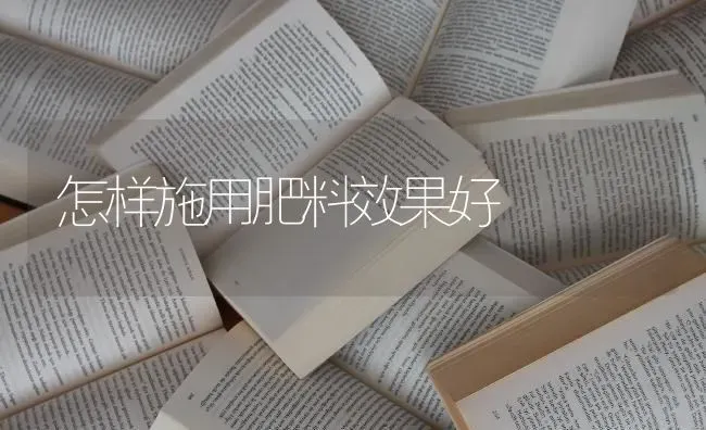 怎样施用肥料效果好 | 瓜果种植