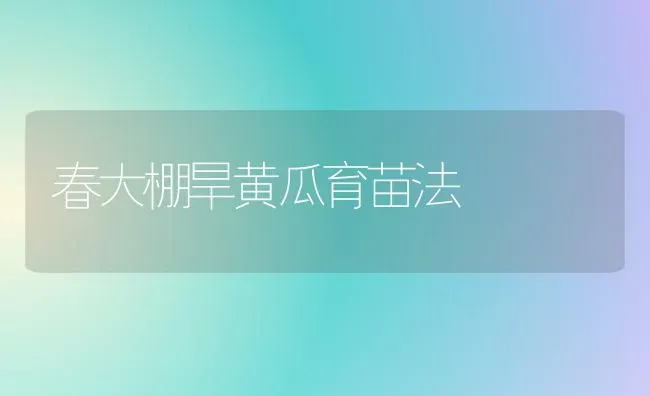 春大棚旱黄瓜育苗法 | 蔬菜种植