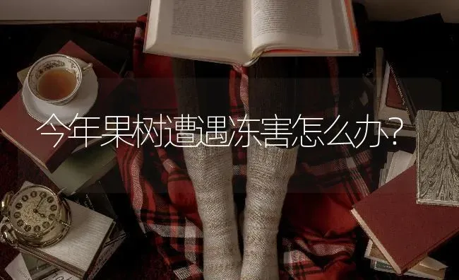 今年果树遭遇冻害怎么办？ | 瓜果种植