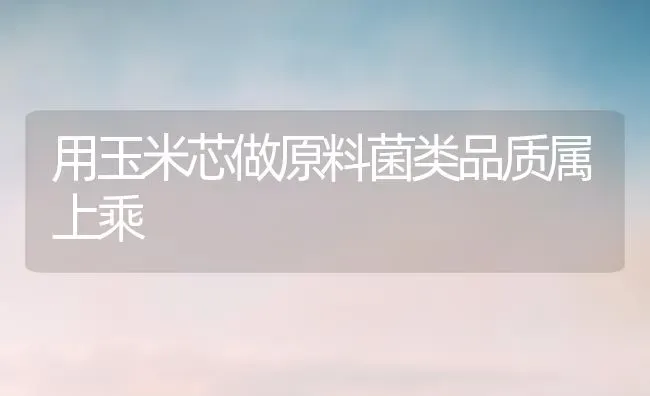 用玉米芯做原料菌类品质属上乘 | 粮油作物种植