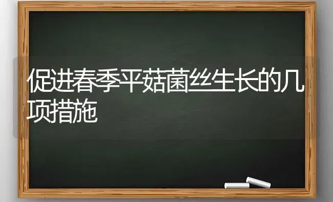 促进春季平菇菌丝生长的几项措施 | 食用菌种植