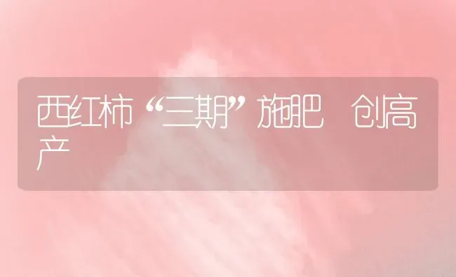 西红柿“三期”施肥 创高产 | 种植肥料施肥