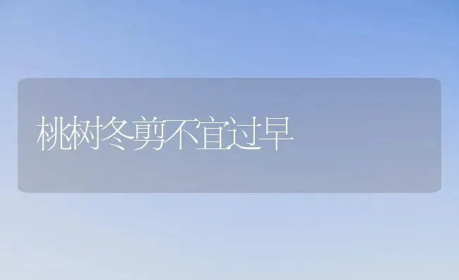 桃树冬剪不宜过早 | 瓜果种植