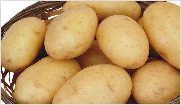 春种土豆什么时候收 | 农业技术