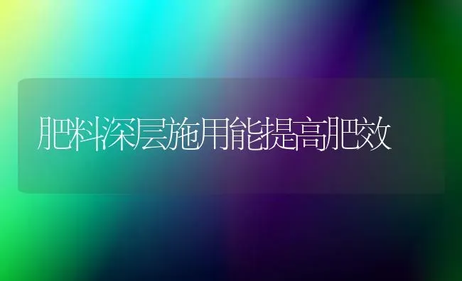 肥料深层施用能提高肥效 | 种植肥料施肥