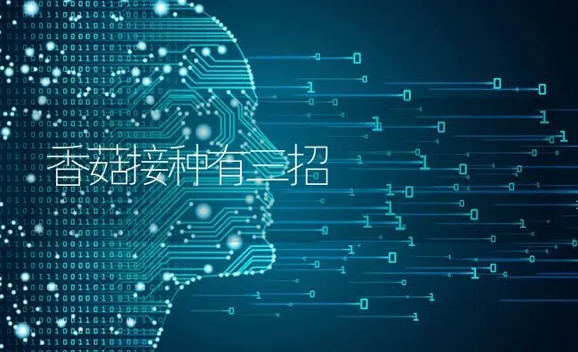香菇接种有三招 | 瓜果种植
