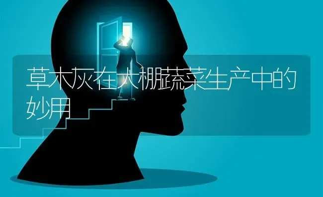 草木灰在大棚蔬菜生产中的妙用 | 蔬菜种植