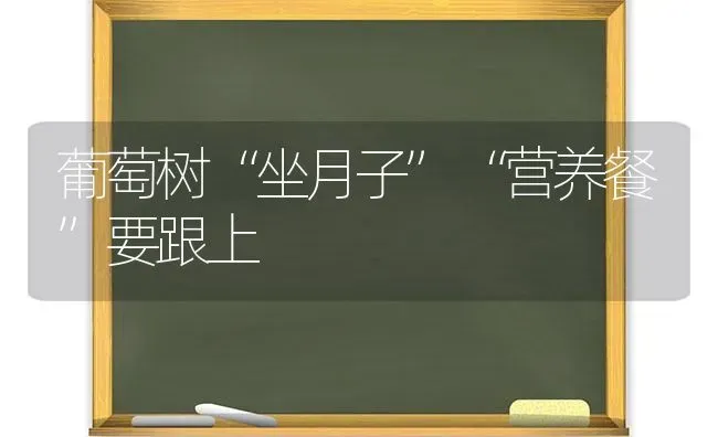 葡萄树“坐月子”“营养餐”要跟上 | 瓜果种植