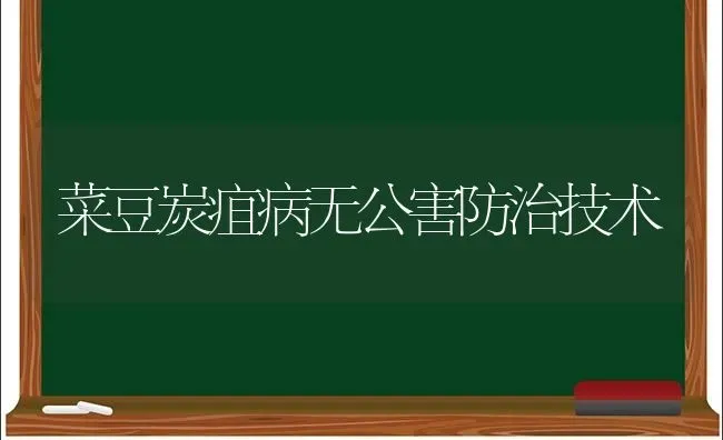 菜豆炭疽病无公害防治技术 | 蔬菜种植