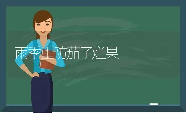 雨季重防茄子烂果 | 瓜果种植