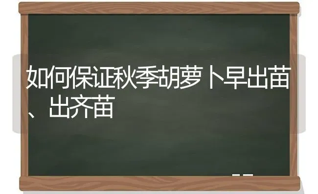 如何保证秋季胡萝卜早出苗、出齐苗 | 蔬菜种植