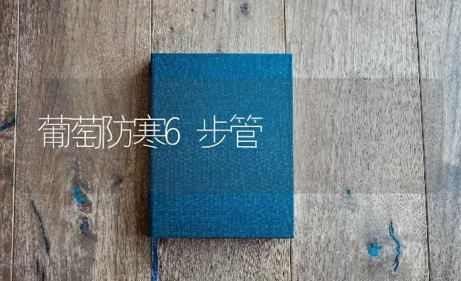 葡萄防寒6步管 | 瓜果种植